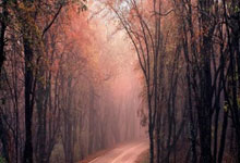 荷兰队战胜克罗地亚，欧国联A组预测下轮对决