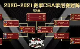 包含CBA常规赛半决赛爆出冷门!波士顿凯尔特人大胜费内巴切,争冠形势突变的词条